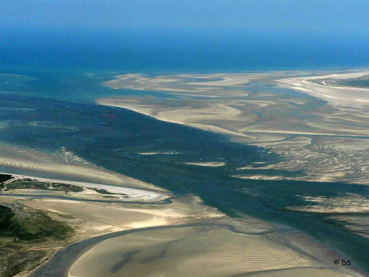 L'Entre 2 Cotes Lägenhet Le Tréport Exteriör bild